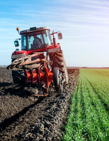 05-Agriculture